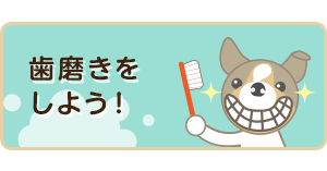 歯磨きをしよう！